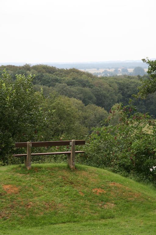 Berghotel Hohe Mark Reken Exteriör bild